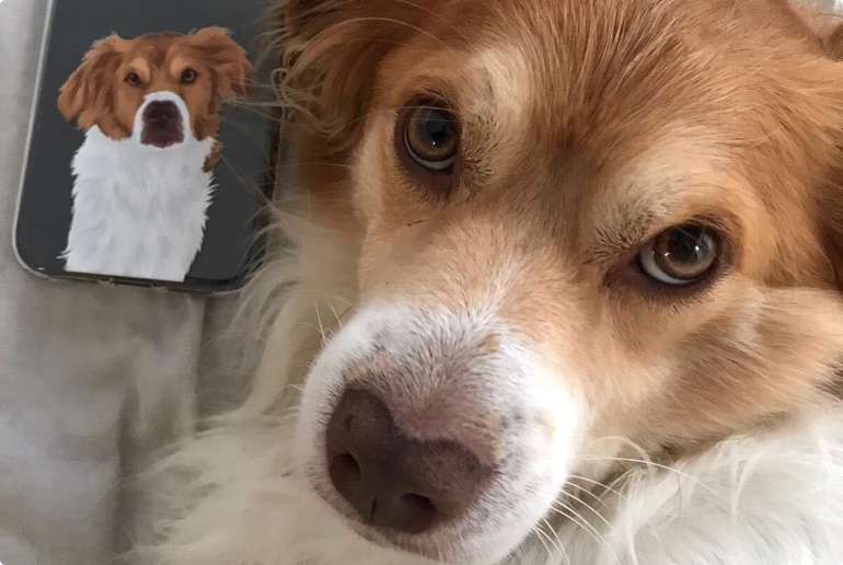 Lenny, de mascotte van PawPrints